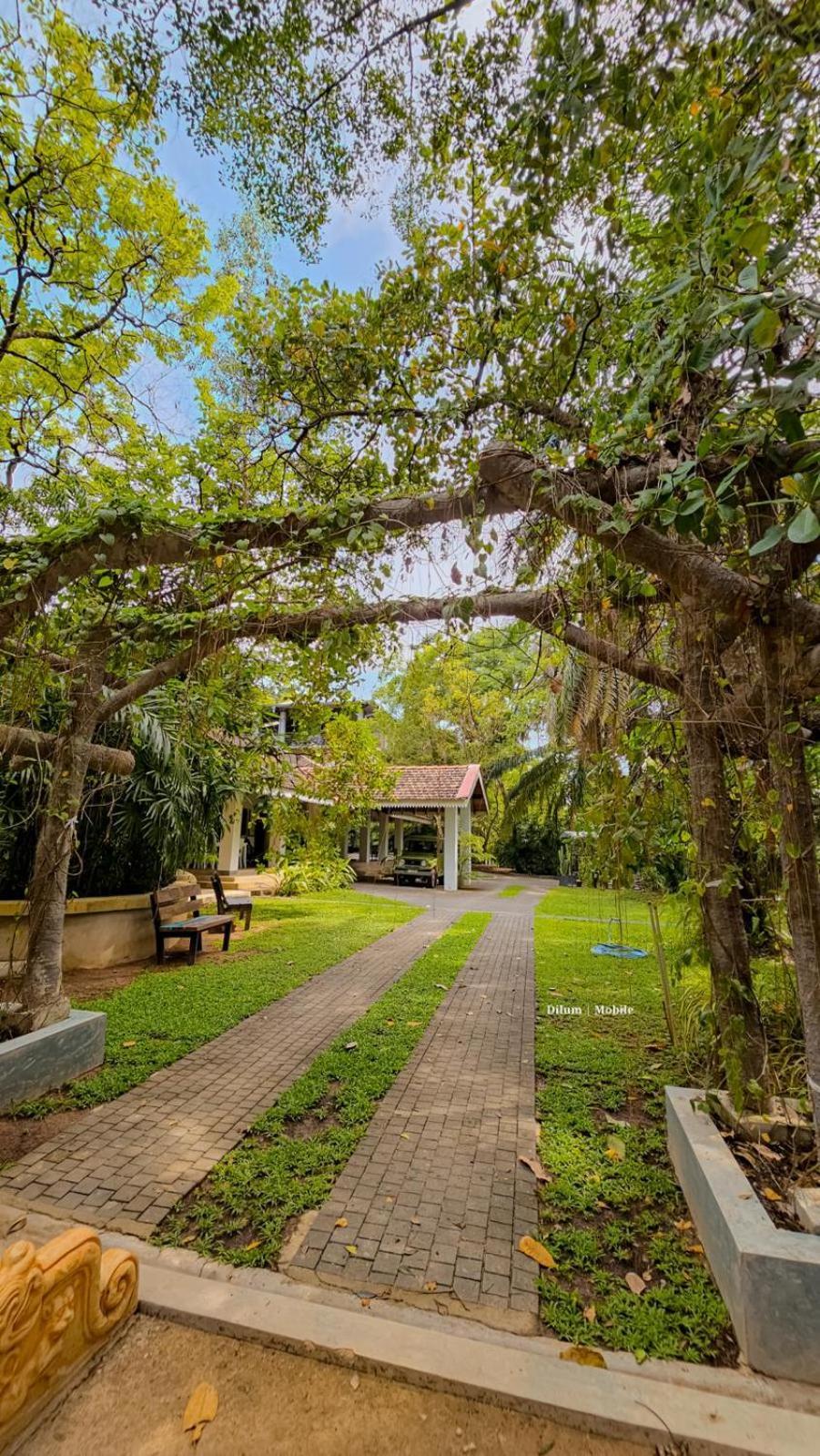 Ceylon Kingsmen Garden Hotel - Katunayake Negombo Exteriér fotografie